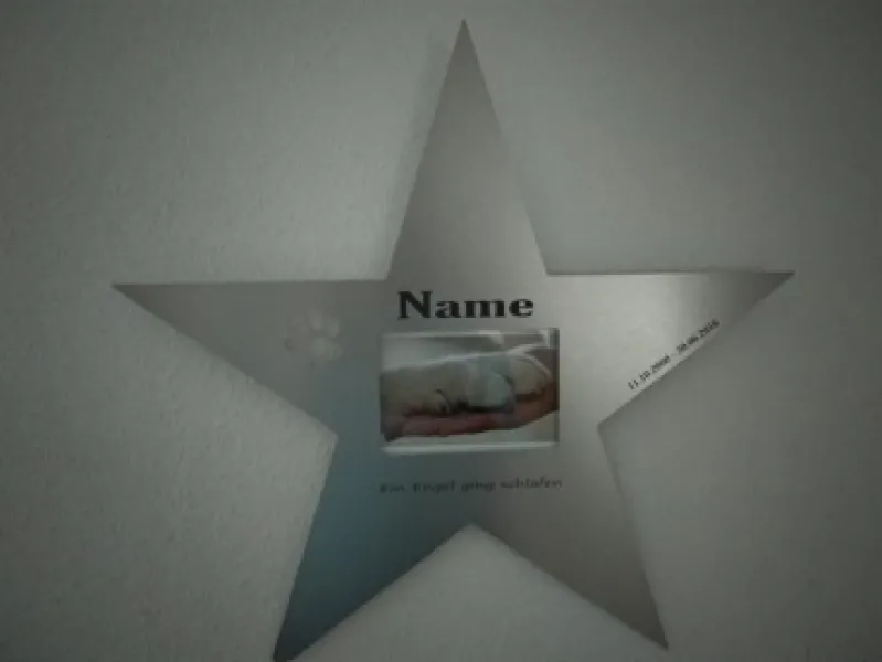 Einzigartiger Gedenkstern designed by BSB mit LED Beleuchtung für den verstorbenen Vierbeiner