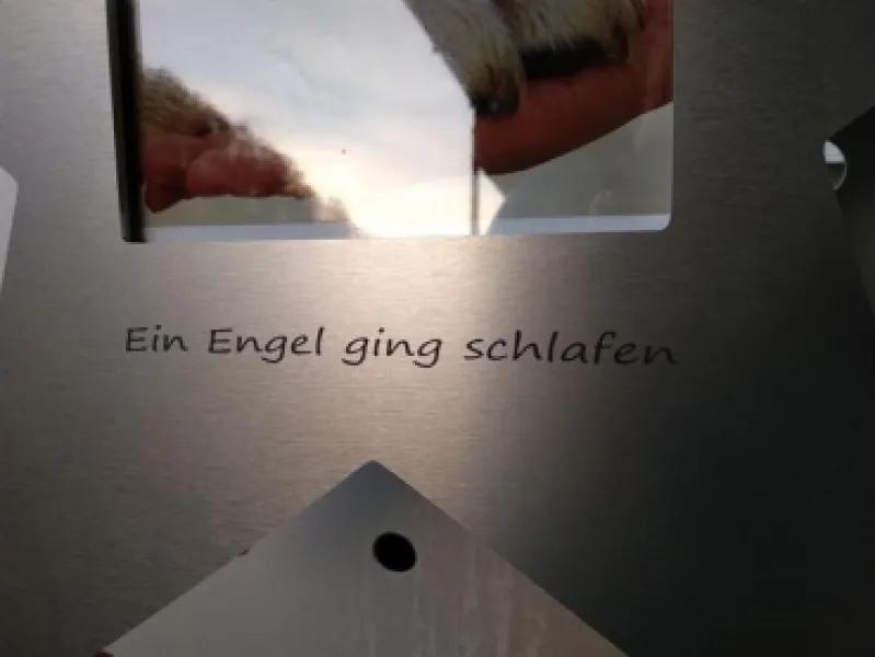 Einzigartiger Gedenkstern designed by BSB mit LED Beleuchtung für den verstorbenen Vierbeiner