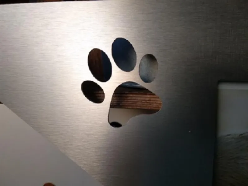 Einzigartiger Gedenkstern designed by BSB mit LED Beleuchtung für den verstorbenen Vierbeiner