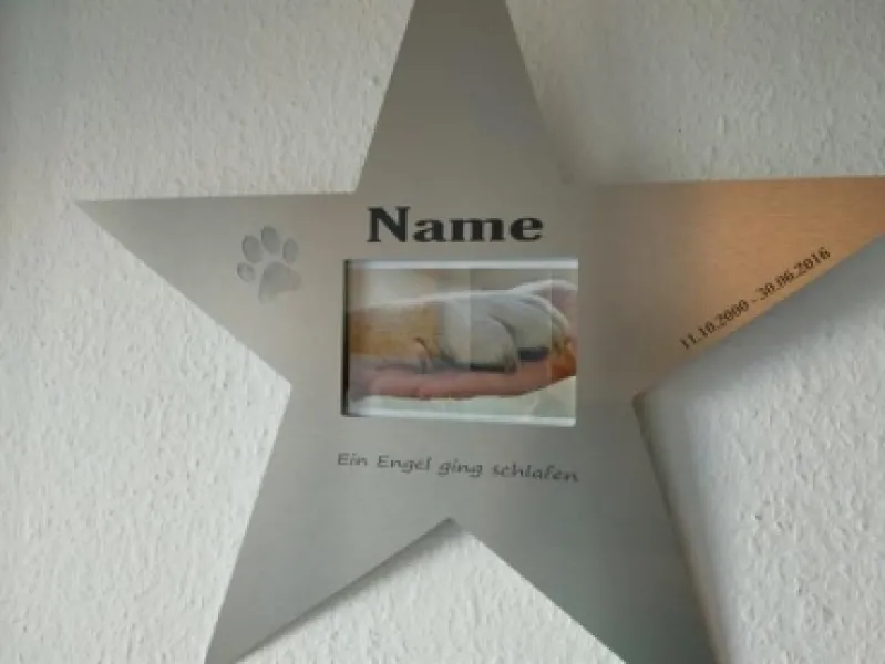 Einzigartiger Gedenkstern designed by BSB mit LED Beleuchtung für den verstorbenen Vierbeiner