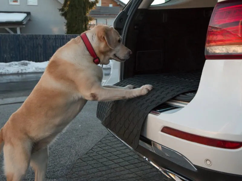 GLEDRING® DoggyMat® BIG |  Ladekantenschutz