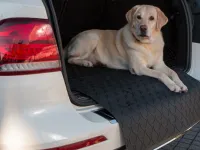 GLEDRING® DoggyMat® SMALL | Ladekantenschutz