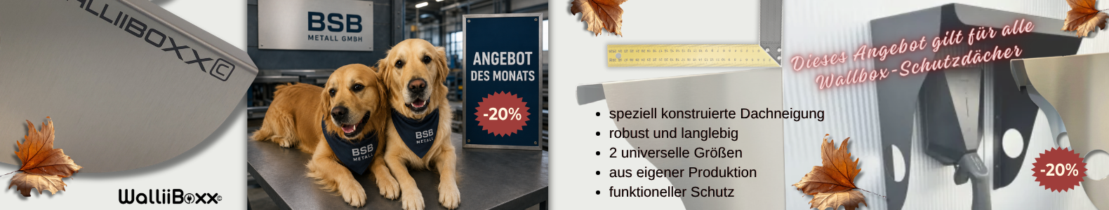 20% Rabatt auf alle Wallbox-Schutzdächer im September 2026